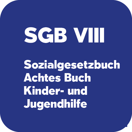 Hier geht es zum SGB 8, Sozialgesetzbuch, achtes Buch: Kinder- und Jugendhilfe