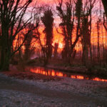rote Panke - im Morgenlicht im Schlosspark, Foto: © Marion Schebesta 2025